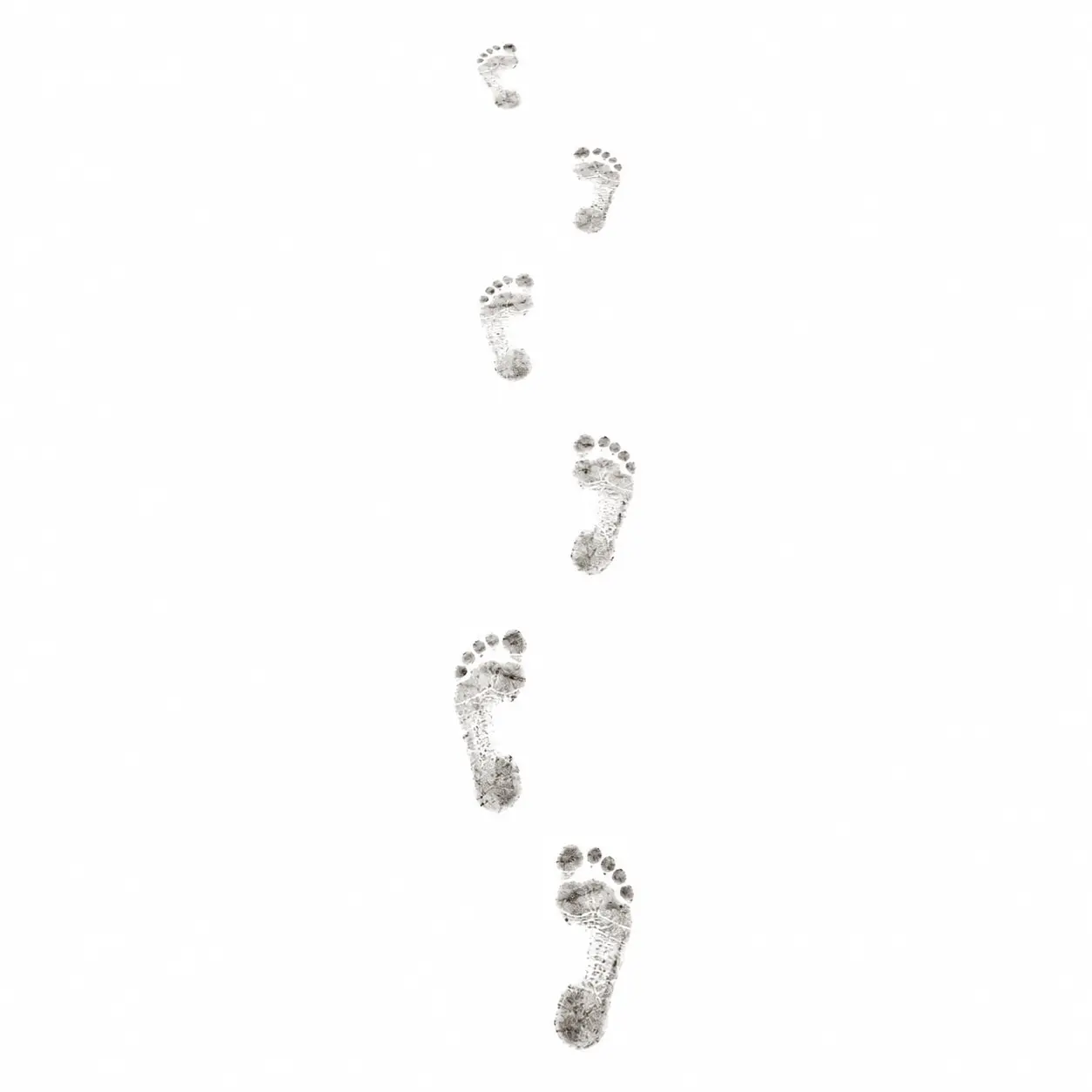 pieds